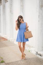 Lace Fit and Flare Dress