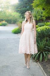 blush embroidered dress