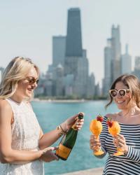 Clicquot-inspired Picnic in the Park
