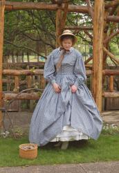 Civil War Series • Blue Floral Day Dress