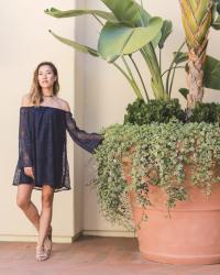 Tobi Lace Shift Dress for Summer 