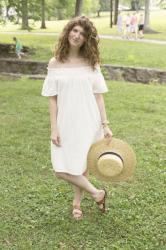 outfit: farmers market dress