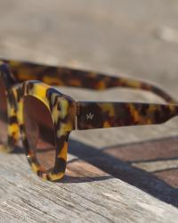Mis nuevas gafas de sol de diseño en estampado Carey de AM Eyewear