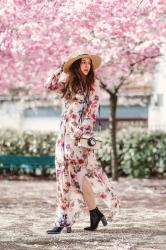 Sakura – Elodie in Paris