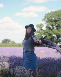 Summer Lavender Fields