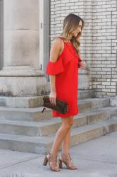 Flirty Red Dress 