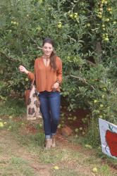 Carter Mountain Orchard
