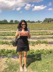 Strawberry Picking