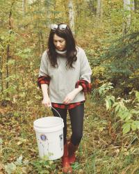 Berry Picking In Fall Foliage