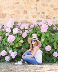 HORTENSIAS Y CANOTIER