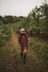 apple picking // fall 