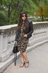 Leather and Leopard