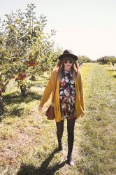 Apple Picking at Lewin Farms