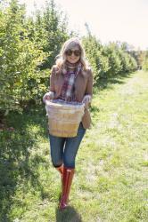 Apple Pickin'