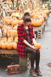 Pumpkins at Dee's Nursery