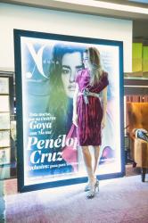 yo dona bloggers dinner