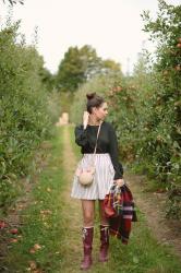 Today I am picking apples !