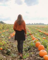 Pumpkin Picking