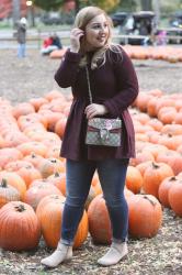 Pumpkin Farm 