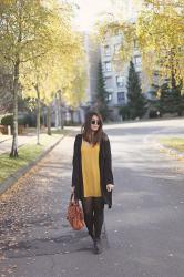 FALL COLORS