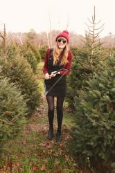 Cutting Our Own Xmas Tree