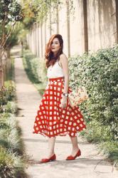 Red Gingham Skirt