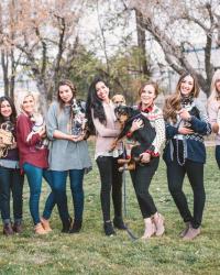 Utah Bloggers x Humane Society of Utah