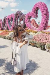 Miracle garden | Dubai