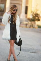 Fur & Leather