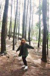 IMOGIRI PINE FOREST, THE GREAT OUTDOOR IN YOGYAKARTA