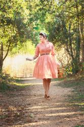 Vintage 1950’s Shirtwaist Dress, Novelty Vegetable Purse, and Bravery at the Park