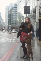 London Life with Dogs 