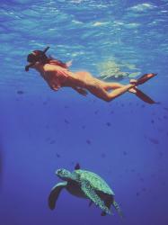 Snorkeling with the Turtles