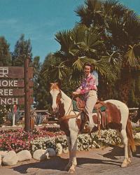 Palm Springs Postcards