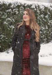 Velvet in the Snow 