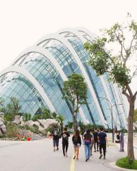 Singapore Diary #2: Gardens By The Bay