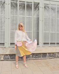 Pleated Skirt