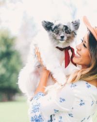 Lulus Pet Selfie Contest + Samson turns 3