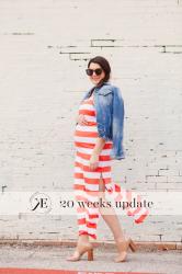Bump Update: 20 weeks