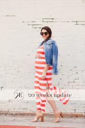 Bump Update: 20 weeks