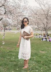 The One Lace Dress You Need for Spring