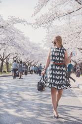 Sakura. Printed dress