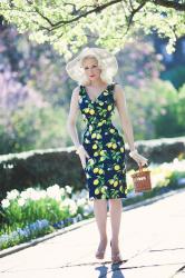 Lavish Lemons || Central Park Formal Gardens in TPDC