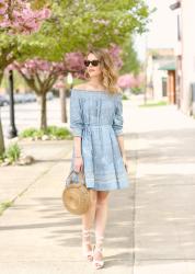 Embroidered Chambray