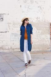 Everlane Linen Shirt Dress