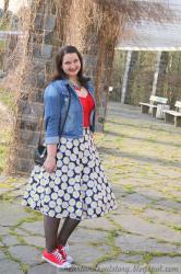 Daisies, Red and Denim