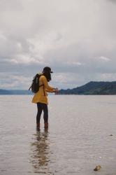 Oyster picking at Hama Hama