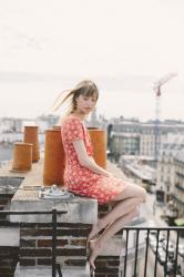 PARISIAN ROOFS