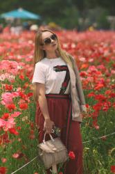 Poppies on the breeze from the sun