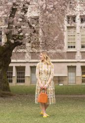cherry blossoms & the perfect floral dress